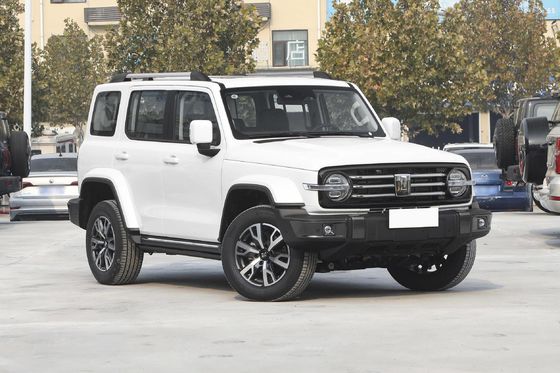  300 5-Door Fuel Powered Car Width 1930mm